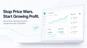 Ecommerce Repricing Strategies That Increase Profit