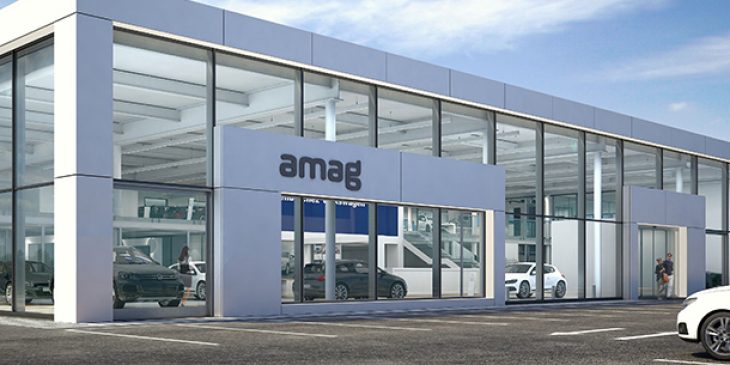AMAG Case Study: Car Parts Pricing Intelligence | tgndata